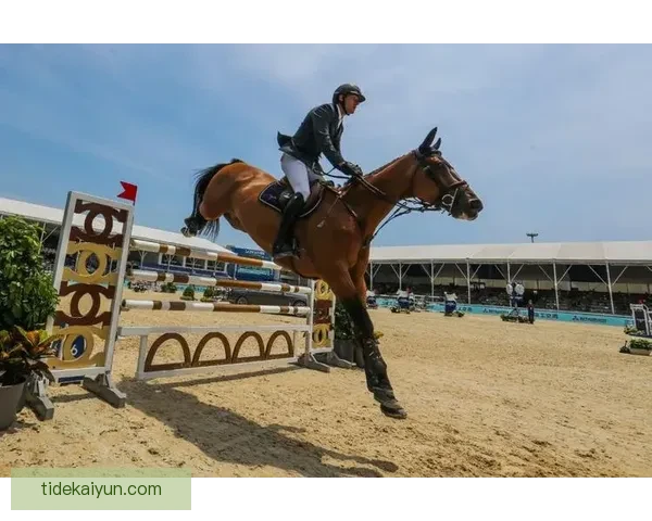 皮克比赛吸引全球观众聚焦，赛事影响力持续增强