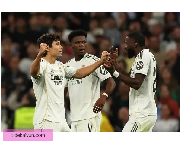 坎特近期表现分析：稳健发挥助力球队竞争力增强