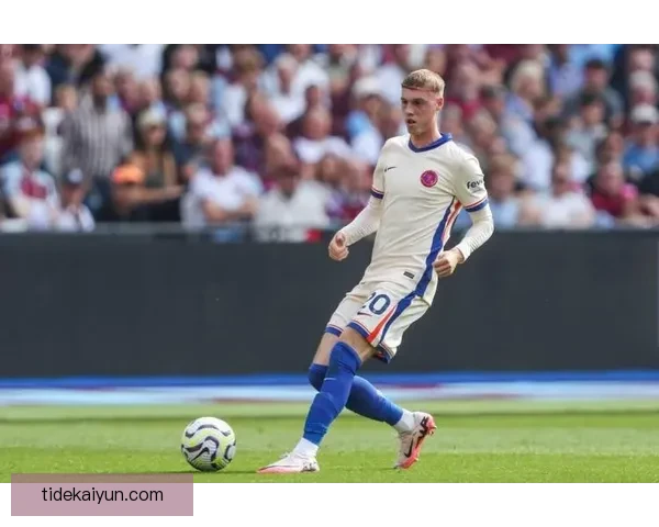 帕尔默近期比赛表现稳定，状态逐渐回暖，前景值得关注