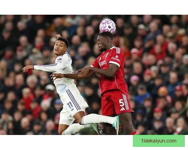 范戴克转会费总和分析：市场价值持续提升引人关注