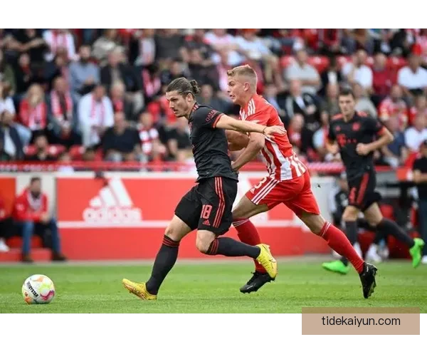 欧国联B级联赛表现稳健，球队竞争力增强引人关注